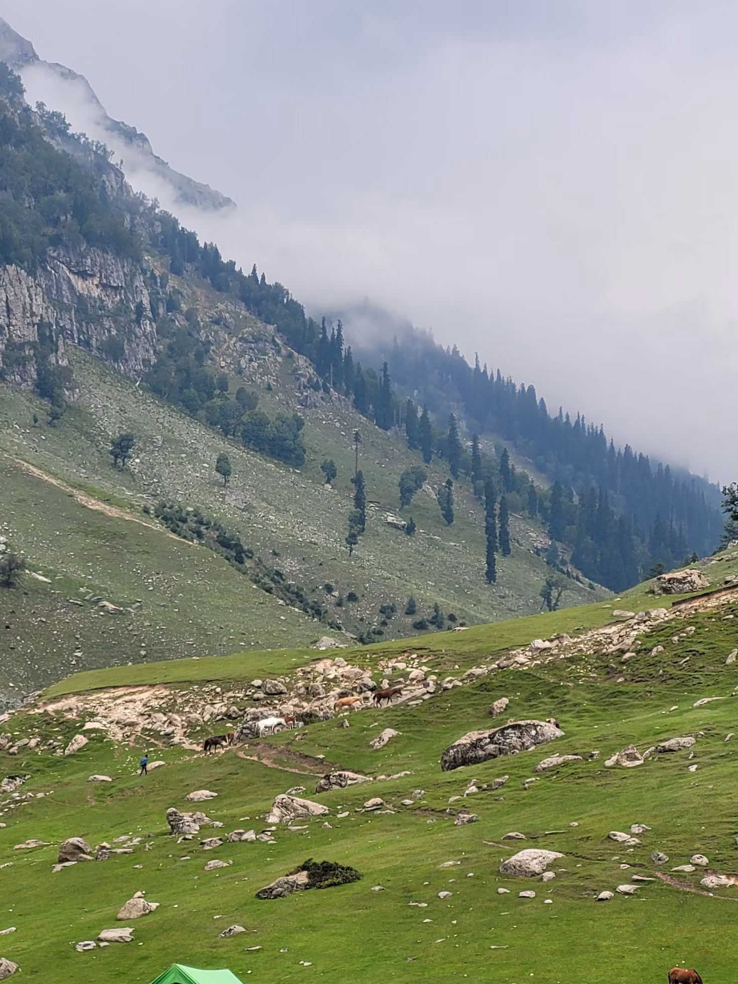 Aru Valley